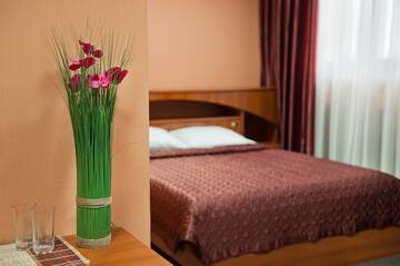 Фото номера Стандарт/Standard Double Room Гостиница Воронеж г. Воронеж 5